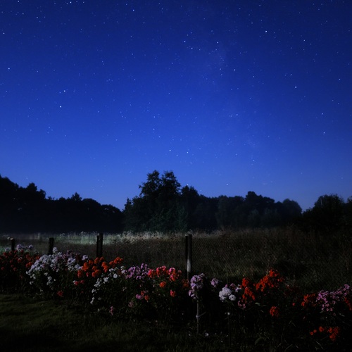 Photo #13894554