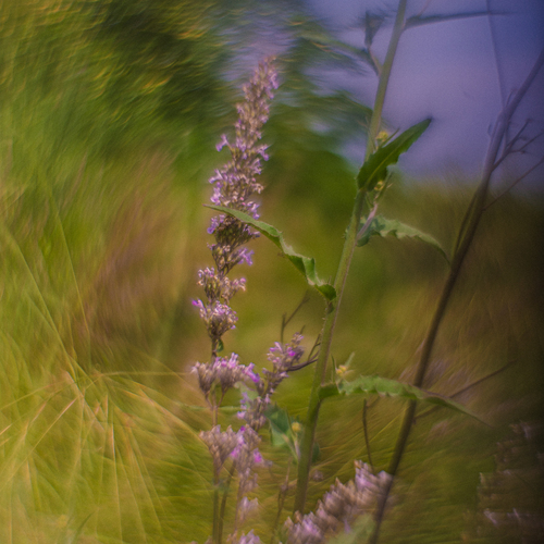 Photo #13894678