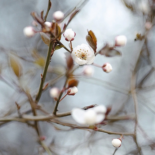Photo #13894730