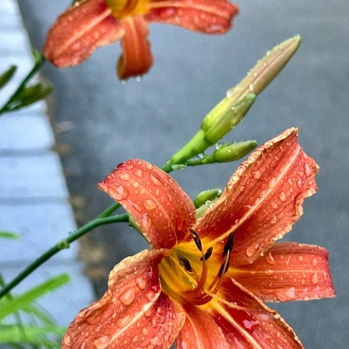 Photo #13894809