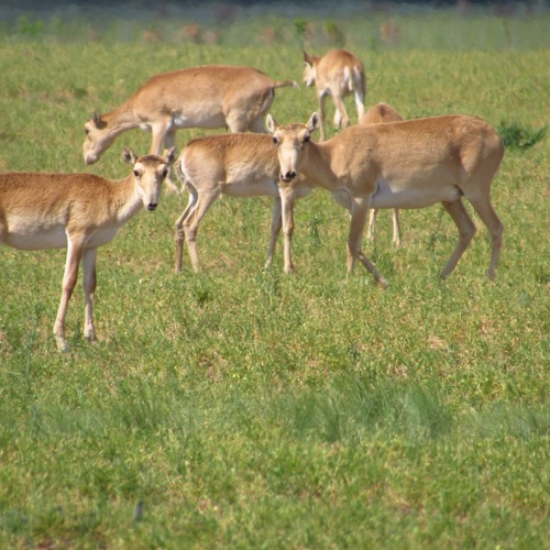 Photo #13894818