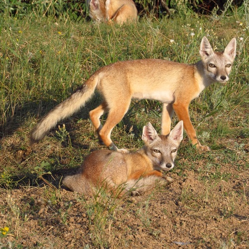 Photo #13894824