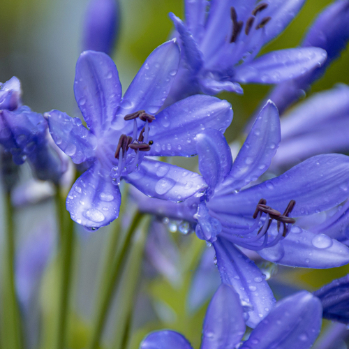 Water Detail in Blue