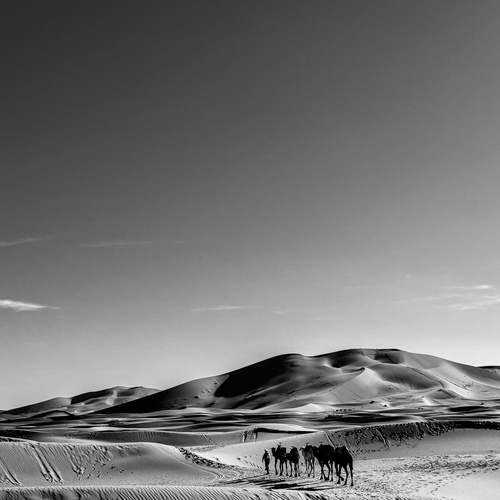 Across the Silence