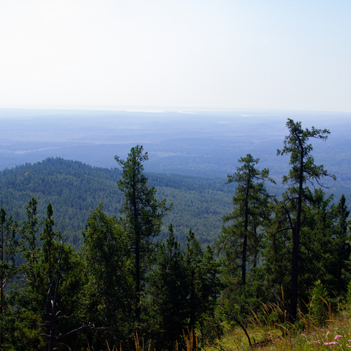 Photo #13894998
