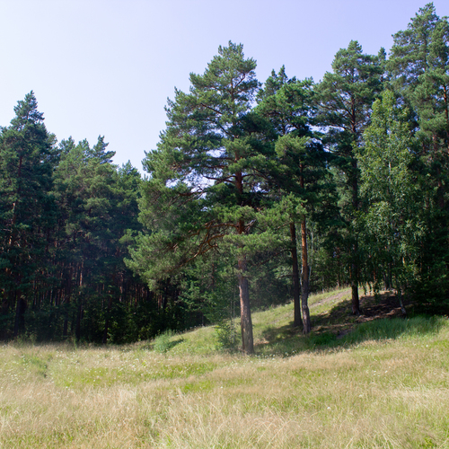 Photo #13895000