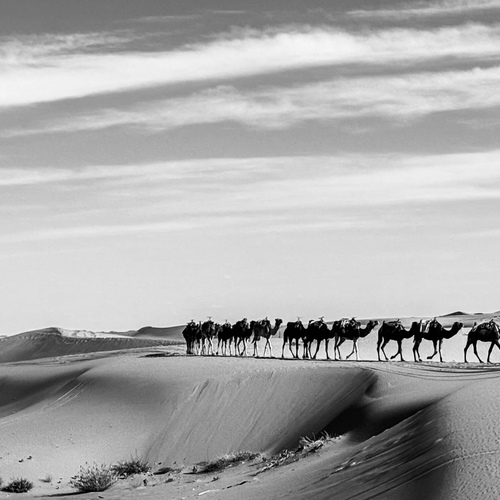 caravan crossing