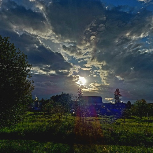 Photo #13895036