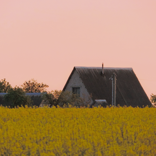 Photo #13895141