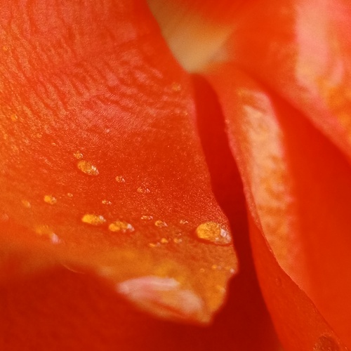 Photo #13895213