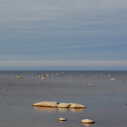 Photo #13895265