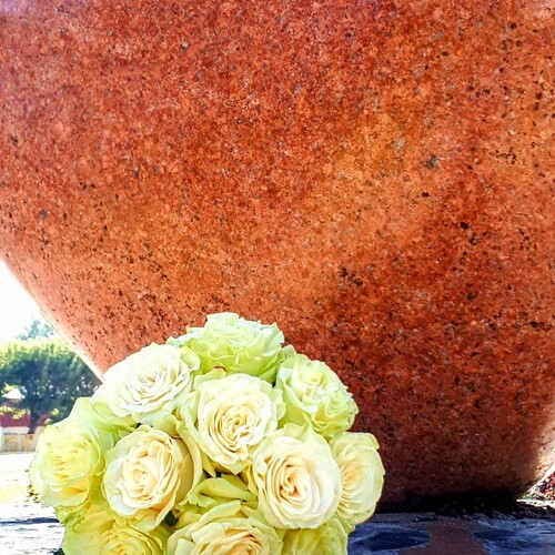 Photo #13895318