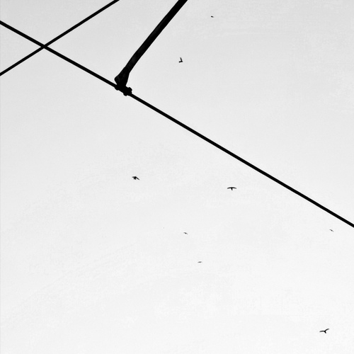 Photo #13895417