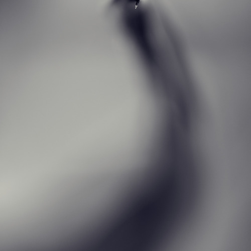 Photo #13895425