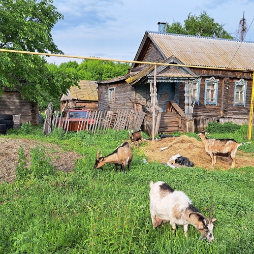 Photo #13895477