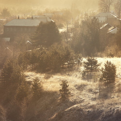 Photo #13895623