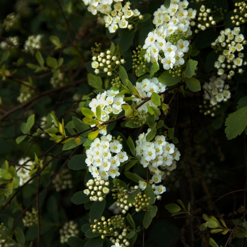 Photo #13895642