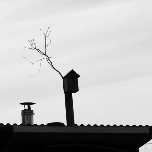 Photo #13895644