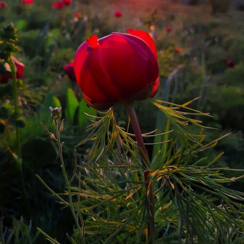Photo #13895664