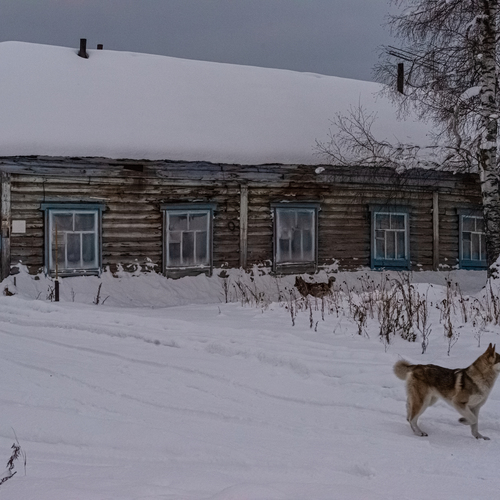 Photo #13895670