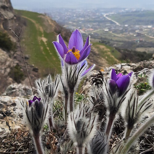Photo #13895703