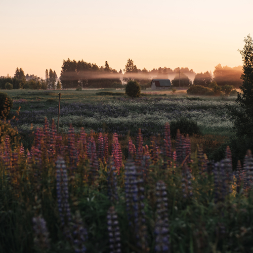 Photo #13895729