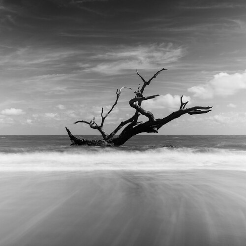 Drifting out to Sea