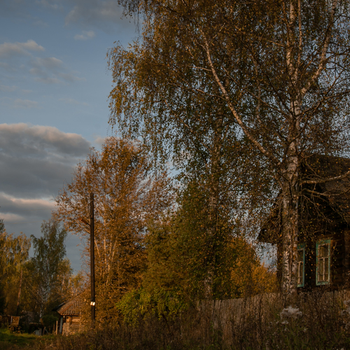 Photo #13896013