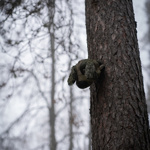 Photo #13896199