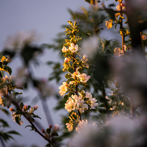 Photo #13896233