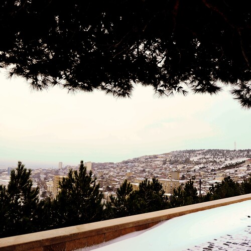 Photo #13896268