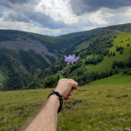 Photo #13896273