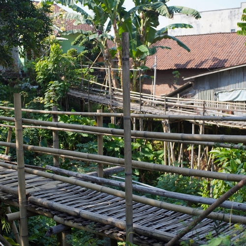 Bamboo Footbridge