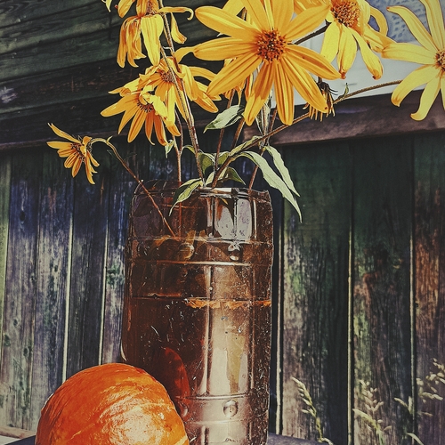 Photo #13896364