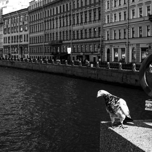 Photo #13896379