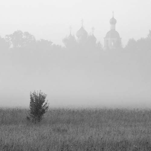 Photo #13896433