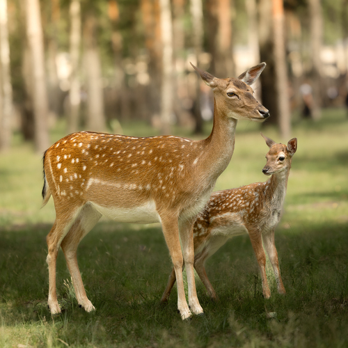 Photo #13896473