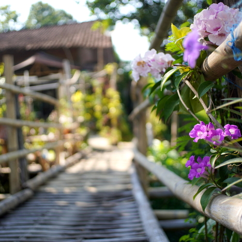Flower-Adorned Bamboo Footbridge in a Traditional Indonesian Village