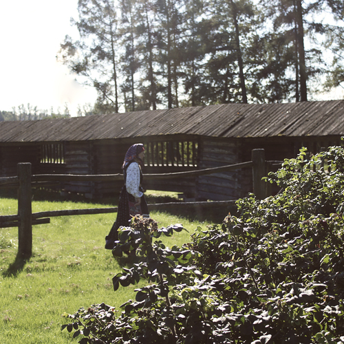Photo #13896605