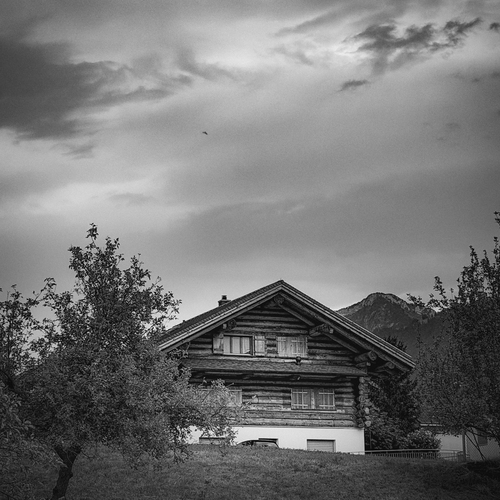 Photo #13896687