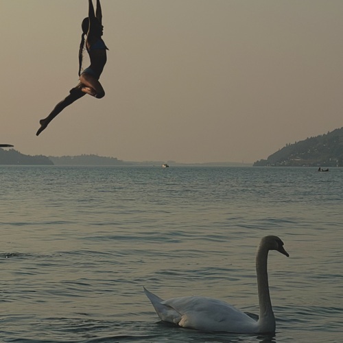 Photo #13896712