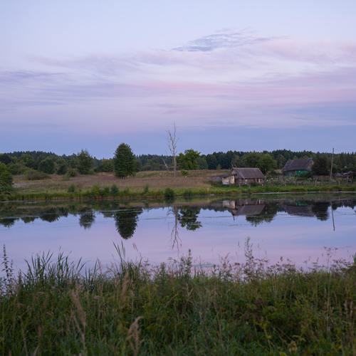 Photo #13896732