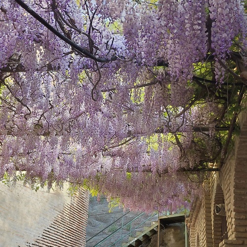 Photo #13896823