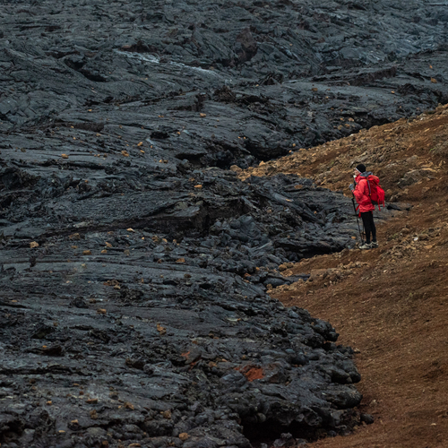 Photo #13896832