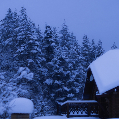Photo #13897121