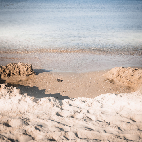 Photo #13897423