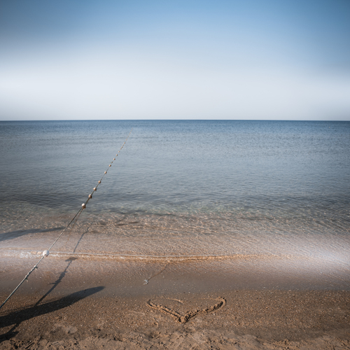 Photo #13897424