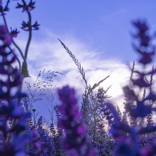 Photo #13897431