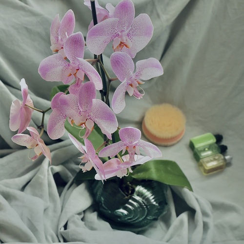 Photo #13897477