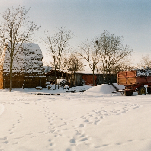 Photo #13897680